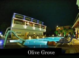 olivegrove，位于斯达林的酒店