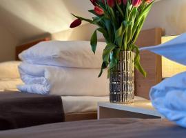 Hotel Marislav，位于Češnovice的酒店