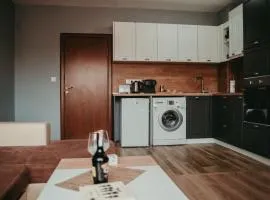 Tyulev apartment 2
