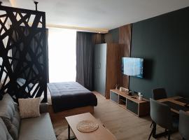 A015 M&Alux Residence Hill, Kopaonik，位于Cajetina的酒店