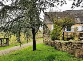 Gîte de France à Chasteaux 2 épis - Gîte de France 4 personnes MAE-9364