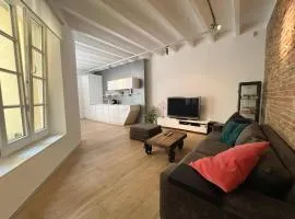 Konventna apartment in city heart, designed, spacious