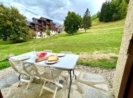 Superb studio Terrace Ski in Montchavin