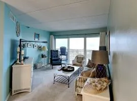 Jacksonville Beachdrifter 202 - Beach View