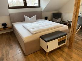 埃文纽达斯旅舍，位于开姆尼茨的宾馆