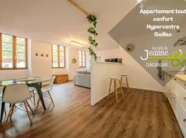 APPARTEMENT TOUT CONFORT - HYPERCENTRE - 58m2 - GAILLAC