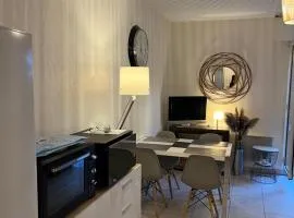 Appartement T2 avec Terrasse centre ville d’Aix en Provence