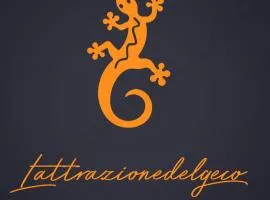 Lattrazionedelgeco