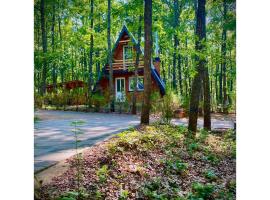 STANET Forest Houses，位于Novoberdo的乡村别墅