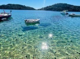 Lovely apartments on the private Beach - island Korčula，位于普利兹巴的酒店