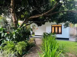 The Mango Retreat