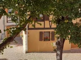 Idéal séjour Alsace ! proche Colmar, gîte Muse avec son jardin