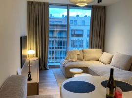 Luxe appartement `t Sant Nieuwpoort Bad，位于尼乌波特的酒店