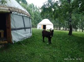 Yurt camp Besh-Karagai，位于Grigor'yevka的豪华帐篷营地