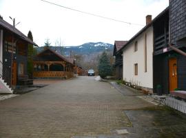 Pensiunea Poiana，位于博尔沙的酒店