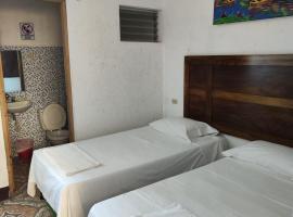 Hotel Europa，位于里瓦斯的酒店