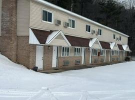 Economy Inn，位于Alfred的酒店