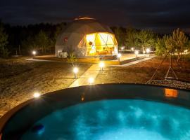 Glamping Idyllaglamp Loft，位于Dzbądzek的酒店