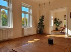 Neu renovierte Altbauwohnung im Herzen von Steyr 100qm