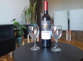 Departamento Chardonnay，位于门多萨的带停车场的酒店