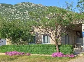 Holiday home in Cesarica 17117