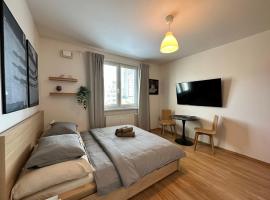 Cozy studio apartment in the wider center，位于Nivy的公寓