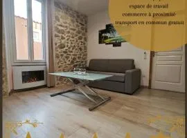 Appartement tout confort à 2 pas du centre ville