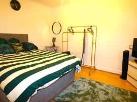 Large Comfy Studio Flat, Next to Dartford Town Centre, Separate Kitchen, Wifi，位于达特福德的酒店