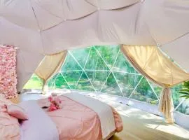 Unique Escapes - Rosé All Day Geodome