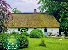Hollerbusch