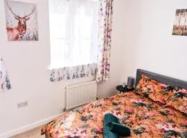 2 Bedrooms House in Ashford