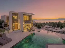 Elia Cove Luxury Villa with private Pool
