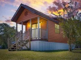 Cozy 1BR Cabin in Jacksonville