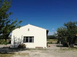 Propriete d'une chambre avec piscine partagee et wifi a Saint Gilles