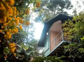 Edens Munnar