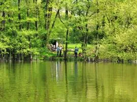 Dom nad Jeziorem Gwiazda