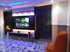 IMSMART Luxury Homes