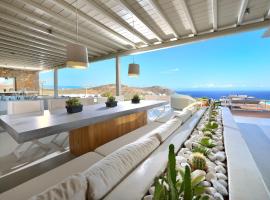 Lkm 6 Bedrooms Villa Ifigenia Mykonos Elia，位于埃利亚海滩的酒店