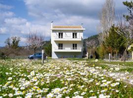 Aliki`s Luxury Suite with view, pet friendly!，位于Vátos的酒店