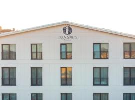 Olea Suites Otel，位于Gemlik的酒店