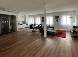 Grosse Einzimmerwohnung/Büro/Showroom，位于Seengen的酒店