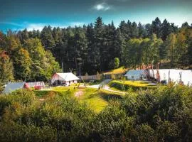 PINIALE GLAMPING TRIB