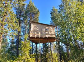 Aurora Lodge，位于Jerfojaur的酒店