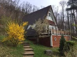 Modern apartment near centre