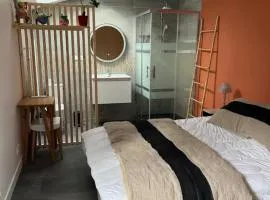 Parenthèse idéale Chambre O double face dans villa face mer à Carnac