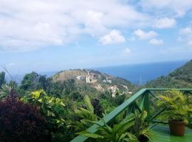 OCEAN VIEW VILLA, Tortola, British Virgin Islands，位于Tortola Island的公寓