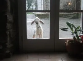 Casa Vacanza Locanda di Campagna