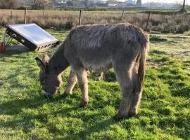 Casa da Avó Miquinhas