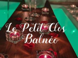 Studio SPA Le Petit Clos，位于谢勒的酒店