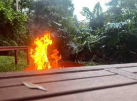 Forrest Cabin meets Treehouse，位于Currumbin Valley的酒店